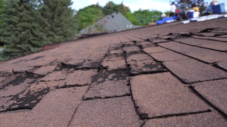 Fast & Reliable Emergency Roof Repairs in Osburn, ID